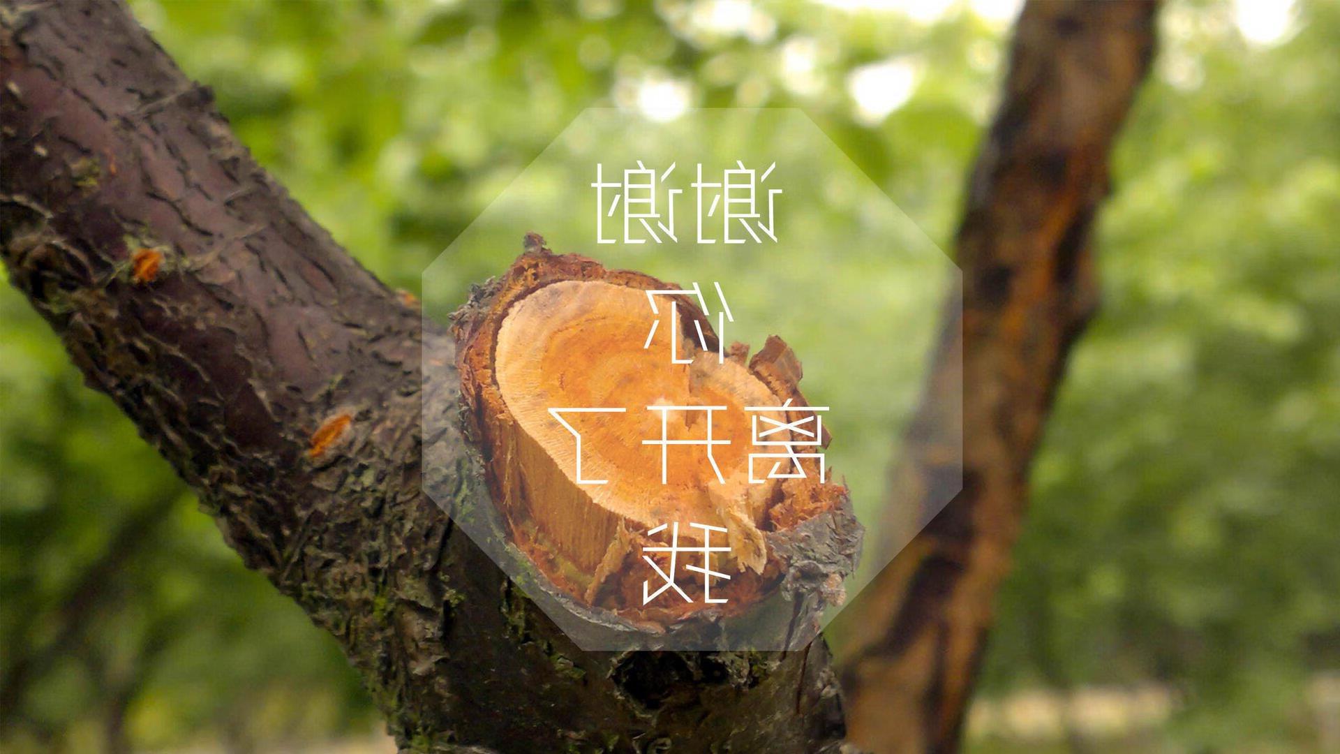 数字体育推动中国足球迈向智能化、信息化,数字体育市场